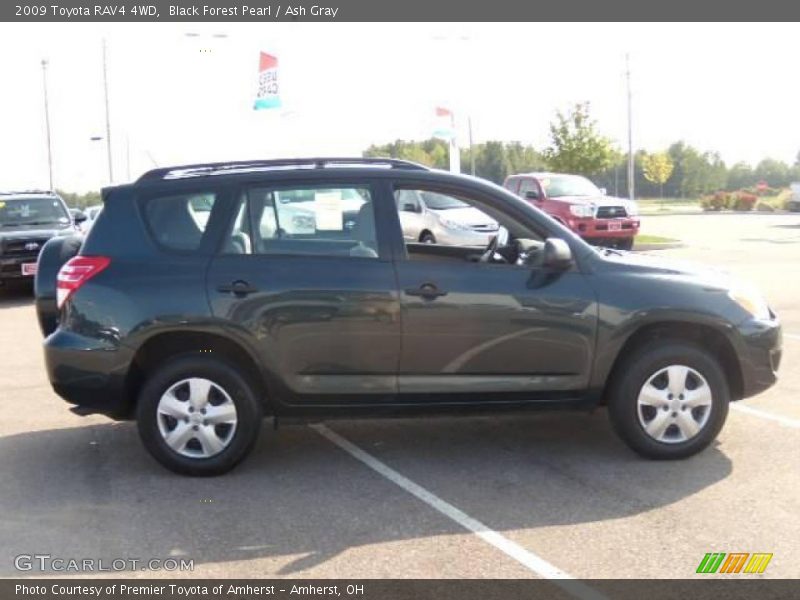 Black Forest Pearl / Ash Gray 2009 Toyota RAV4 4WD