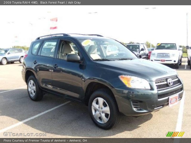 Black Forest Pearl / Ash Gray 2009 Toyota RAV4 4WD