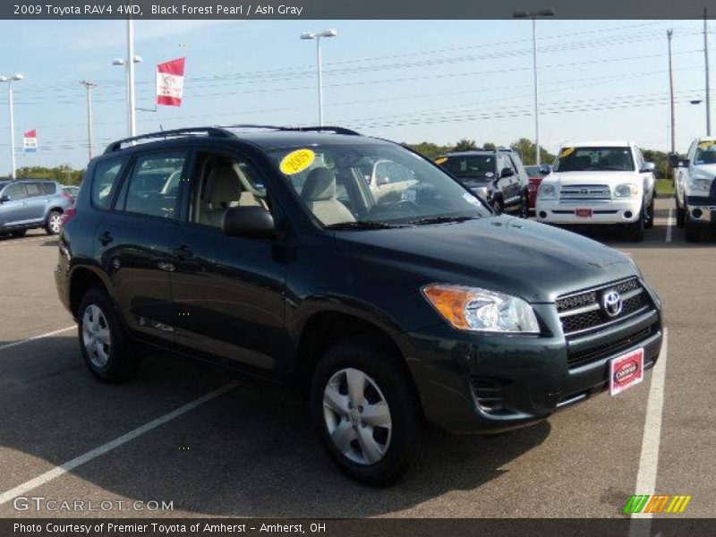 Black Forest Pearl / Ash Gray 2009 Toyota RAV4 4WD
