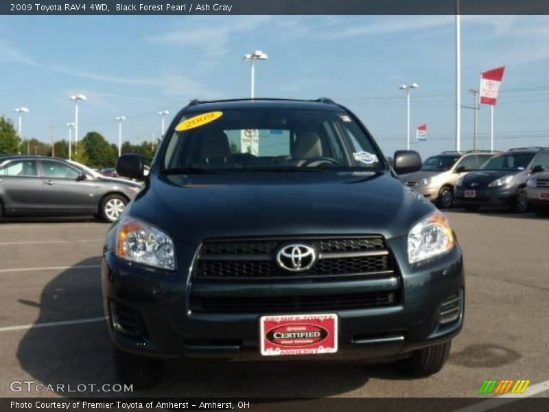 Black Forest Pearl / Ash Gray 2009 Toyota RAV4 4WD