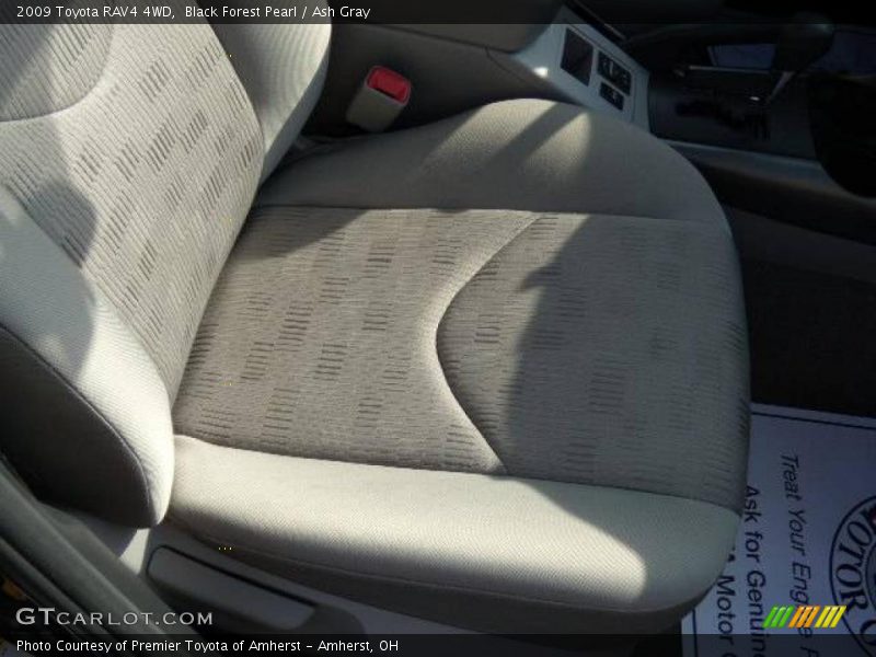 Black Forest Pearl / Ash Gray 2009 Toyota RAV4 4WD