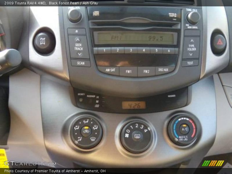 Black Forest Pearl / Ash Gray 2009 Toyota RAV4 4WD