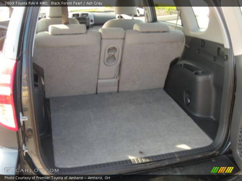 Black Forest Pearl / Ash Gray 2009 Toyota RAV4 4WD