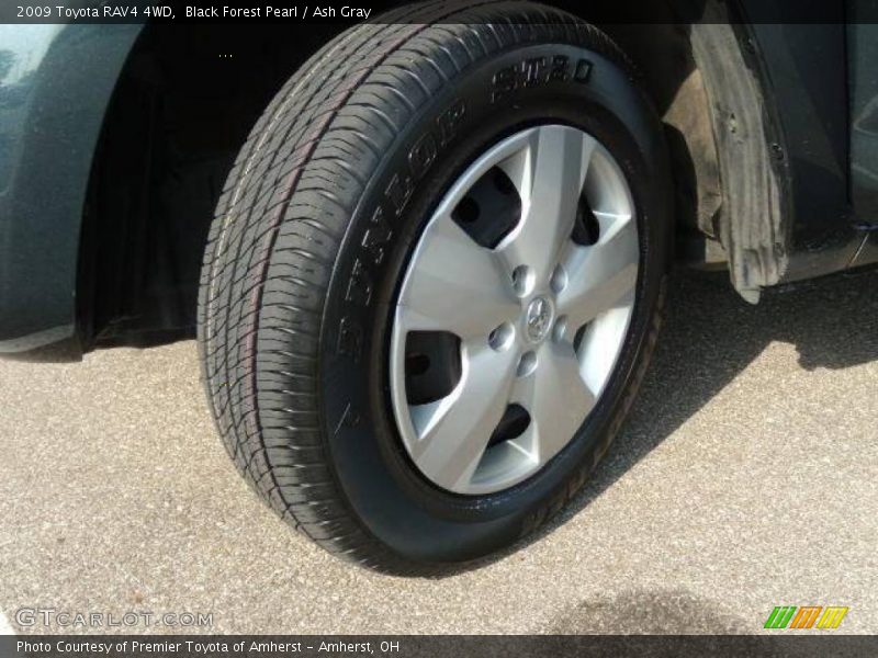 Black Forest Pearl / Ash Gray 2009 Toyota RAV4 4WD