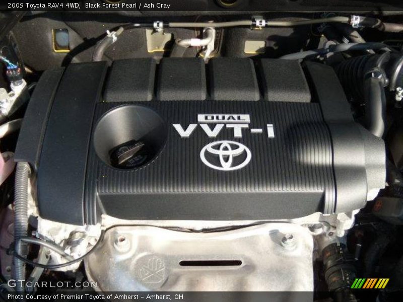 Black Forest Pearl / Ash Gray 2009 Toyota RAV4 4WD