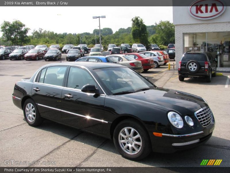 Ebony Black / Gray 2009 Kia Amanti