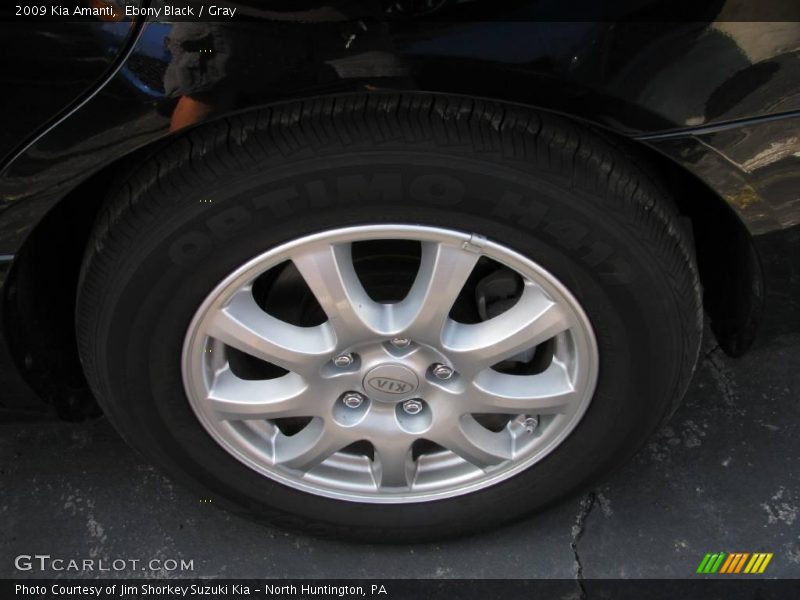 Ebony Black / Gray 2009 Kia Amanti
