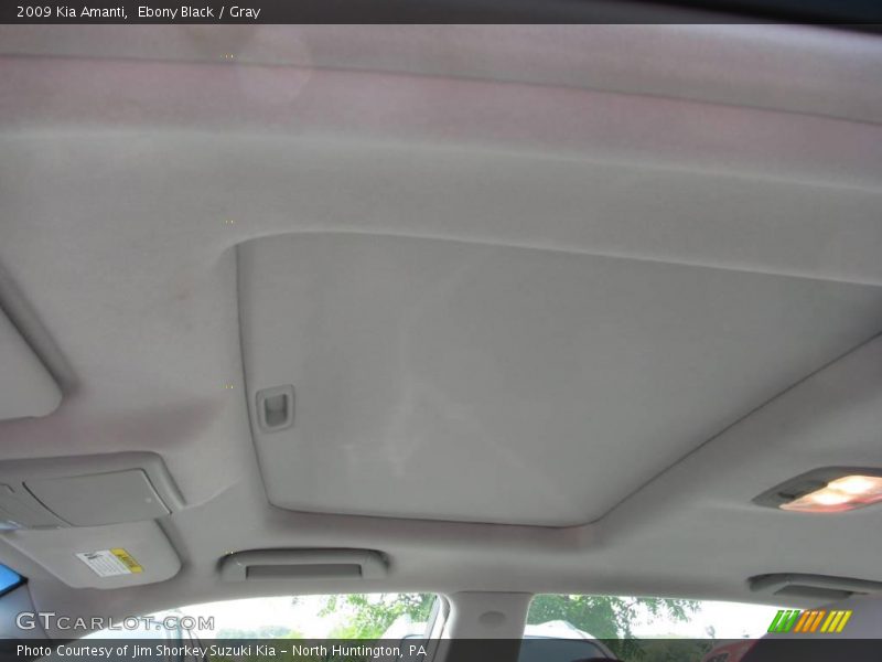 Ebony Black / Gray 2009 Kia Amanti