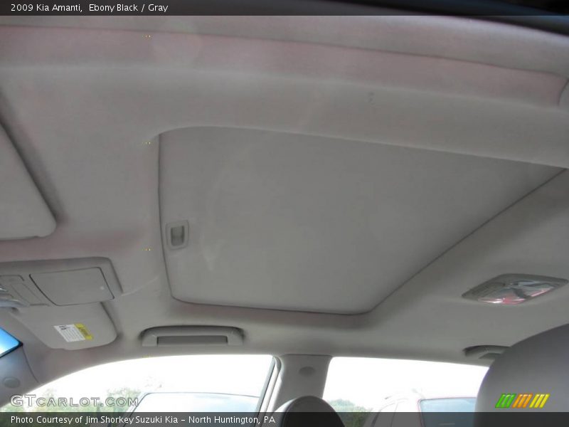 Ebony Black / Gray 2009 Kia Amanti