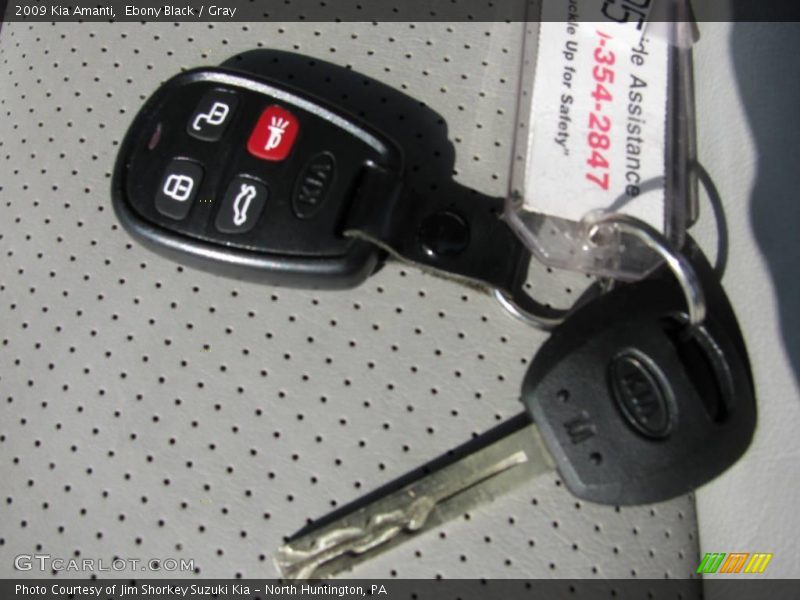Ebony Black / Gray 2009 Kia Amanti