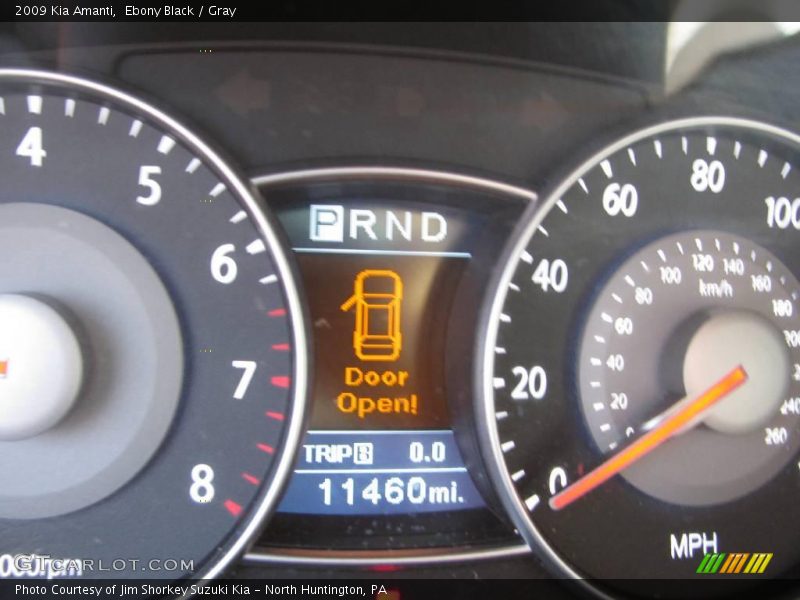Ebony Black / Gray 2009 Kia Amanti