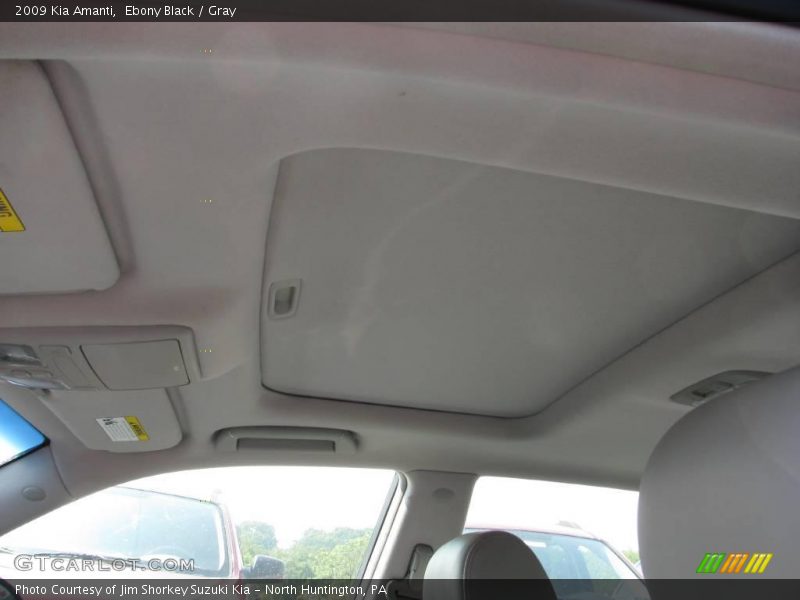 Ebony Black / Gray 2009 Kia Amanti