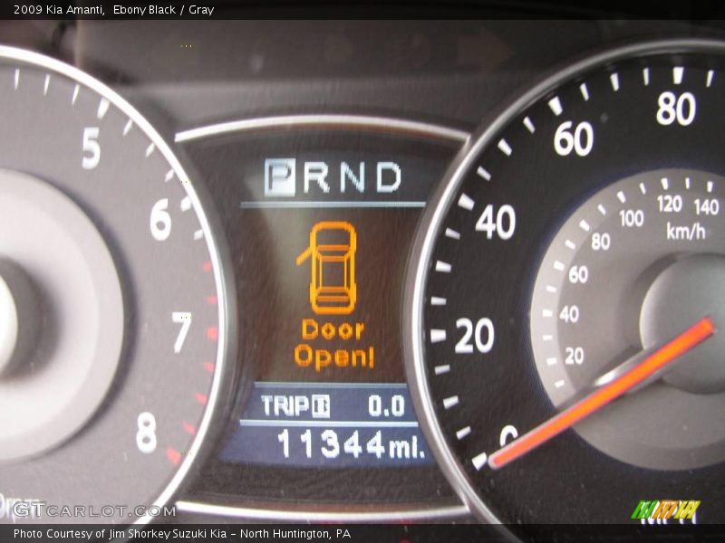 Ebony Black / Gray 2009 Kia Amanti