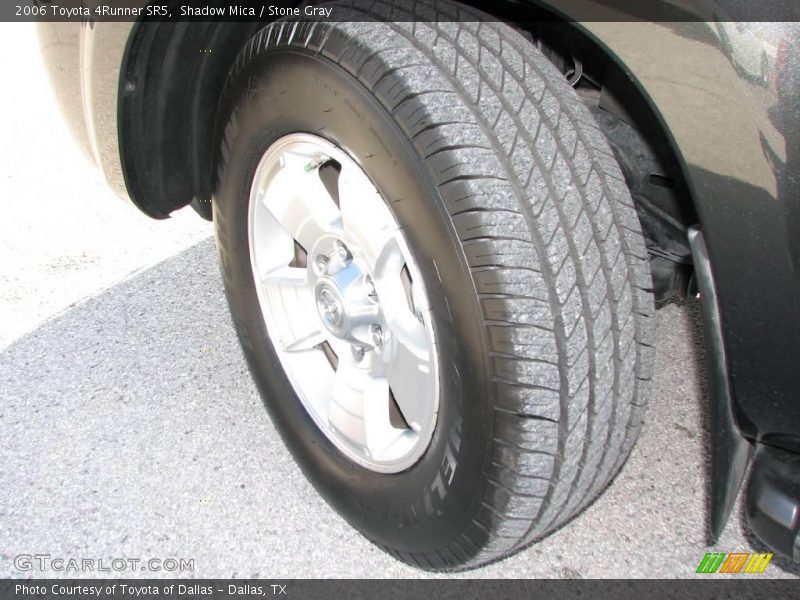 Shadow Mica / Stone Gray 2006 Toyota 4Runner SR5