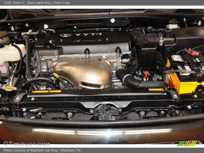 Black Sand Mica / Dark Gray 2005 Scion tC