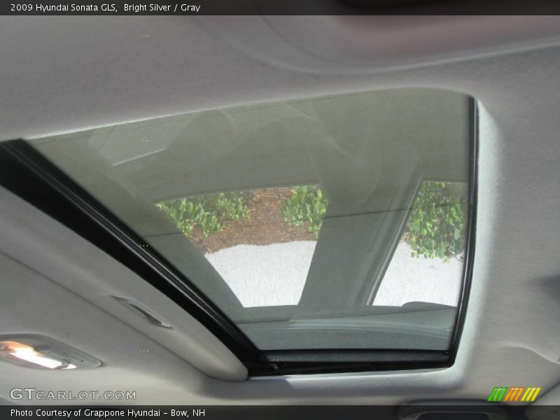 Bright Silver / Gray 2009 Hyundai Sonata GLS