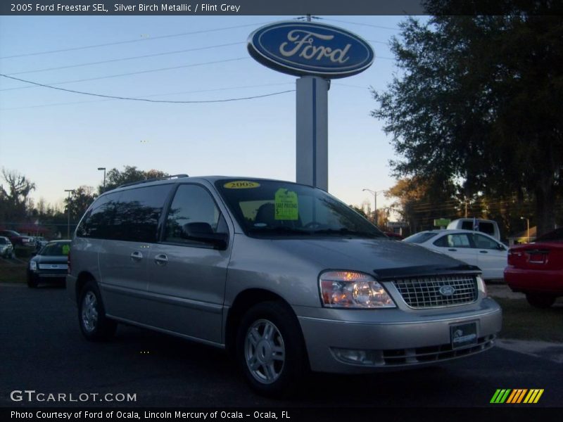 Silver Birch Metallic / Flint Grey 2005 Ford Freestar SEL