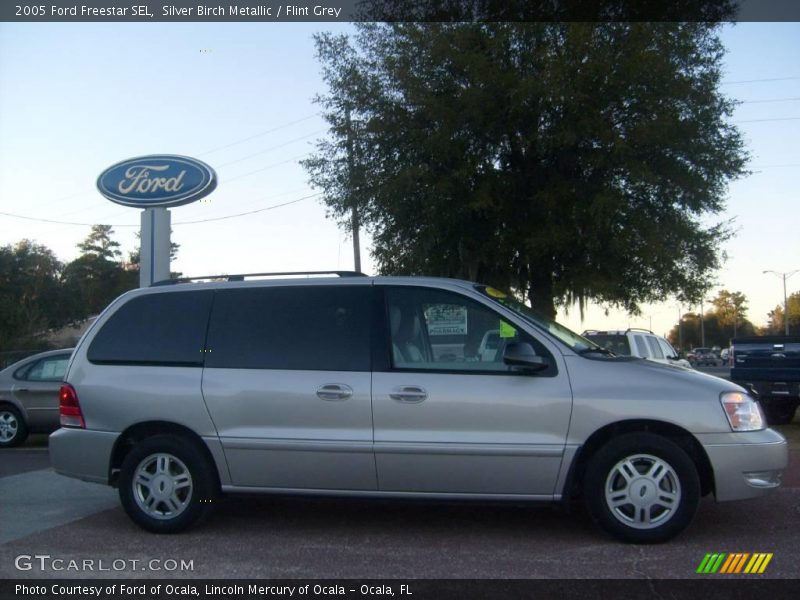 Silver Birch Metallic / Flint Grey 2005 Ford Freestar SEL
