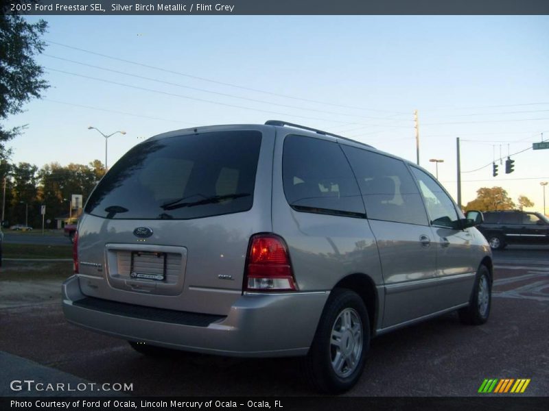 Silver Birch Metallic / Flint Grey 2005 Ford Freestar SEL