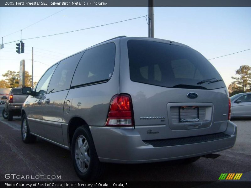Silver Birch Metallic / Flint Grey 2005 Ford Freestar SEL