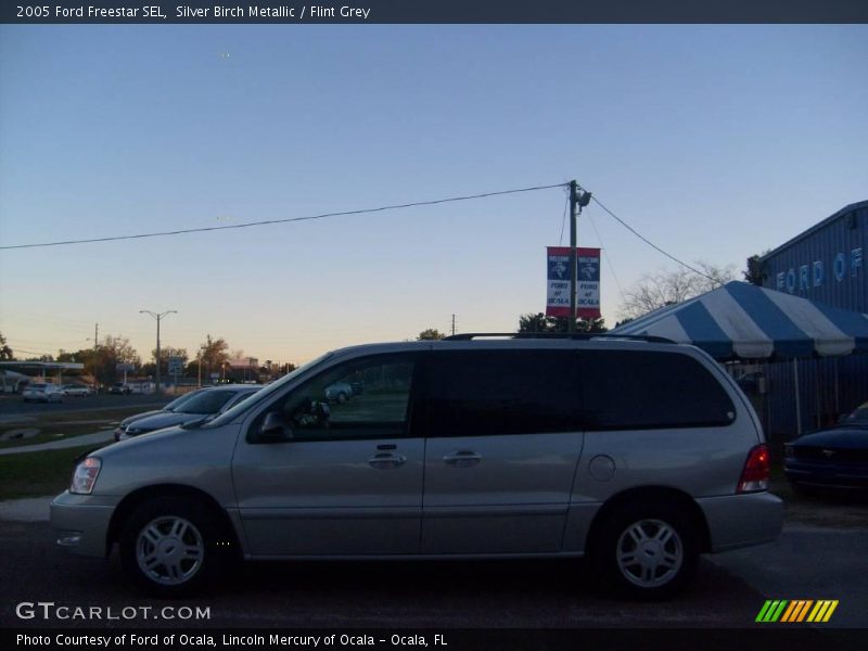 Silver Birch Metallic / Flint Grey 2005 Ford Freestar SEL
