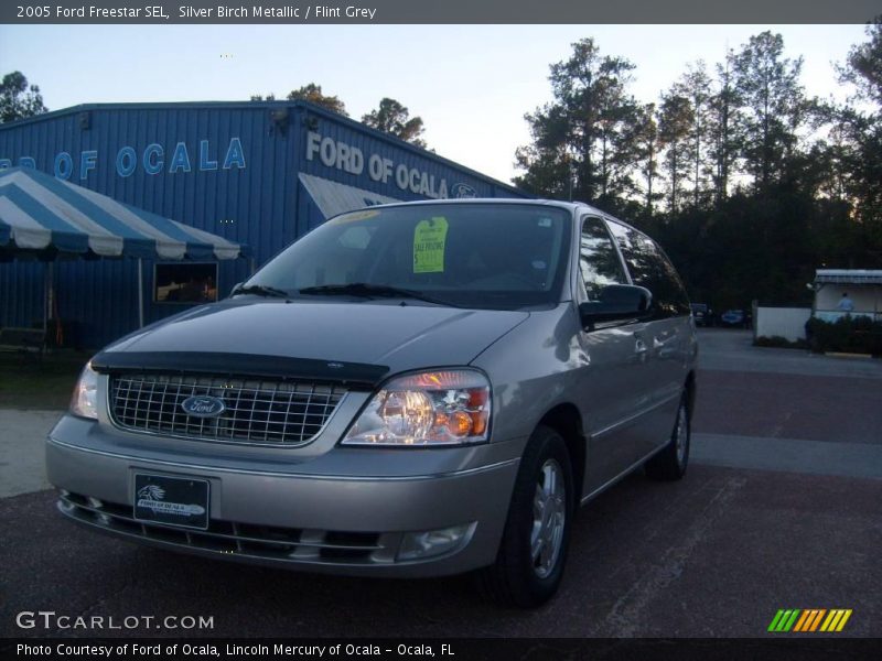 Silver Birch Metallic / Flint Grey 2005 Ford Freestar SEL