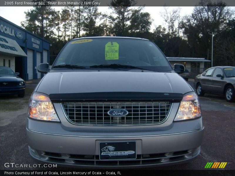 Silver Birch Metallic / Flint Grey 2005 Ford Freestar SEL