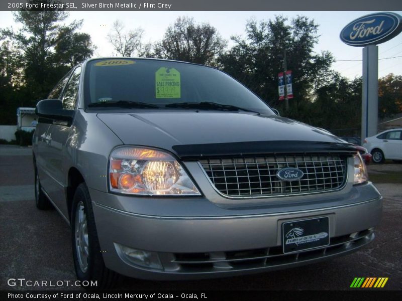 Silver Birch Metallic / Flint Grey 2005 Ford Freestar SEL