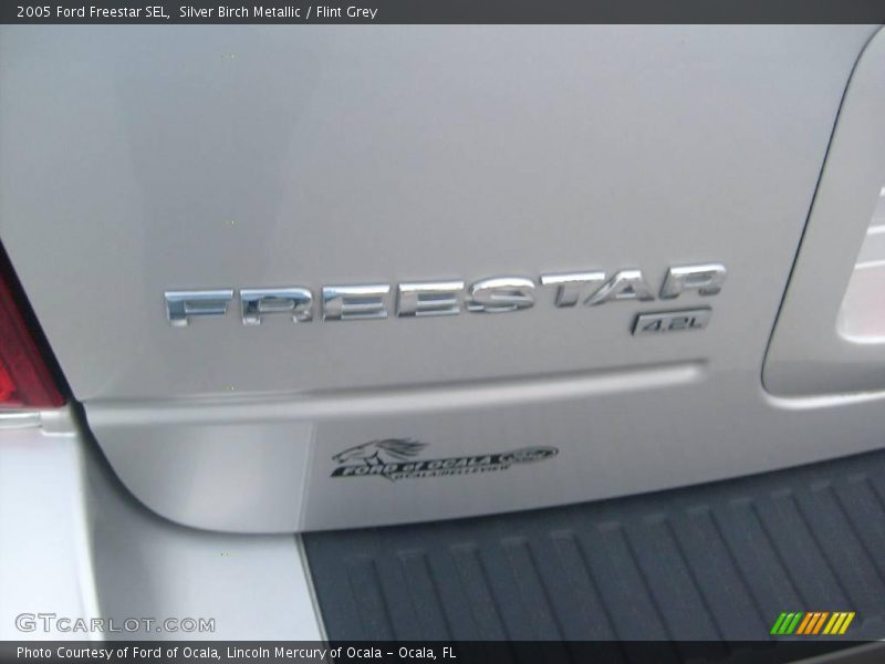Silver Birch Metallic / Flint Grey 2005 Ford Freestar SEL