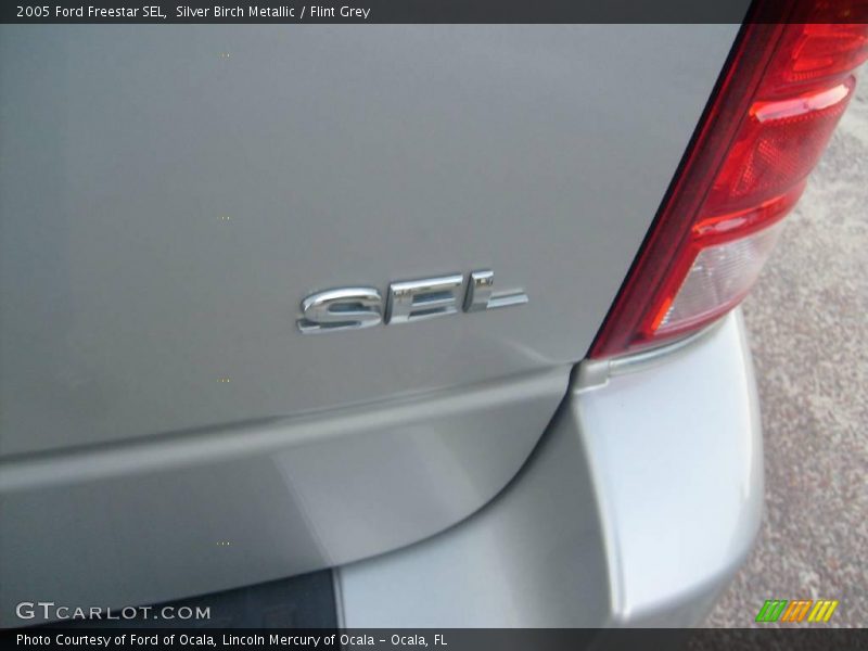 Silver Birch Metallic / Flint Grey 2005 Ford Freestar SEL