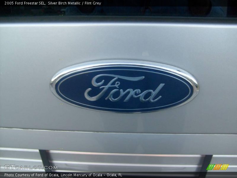Silver Birch Metallic / Flint Grey 2005 Ford Freestar SEL