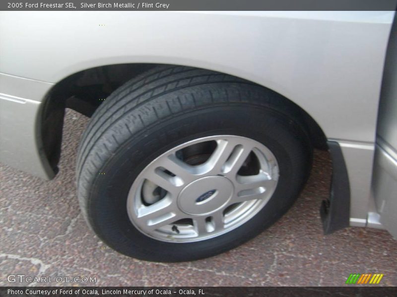 Silver Birch Metallic / Flint Grey 2005 Ford Freestar SEL