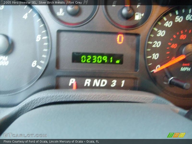 Silver Birch Metallic / Flint Grey 2005 Ford Freestar SEL