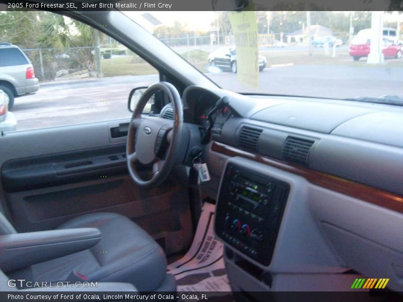 Silver Birch Metallic / Flint Grey 2005 Ford Freestar SEL