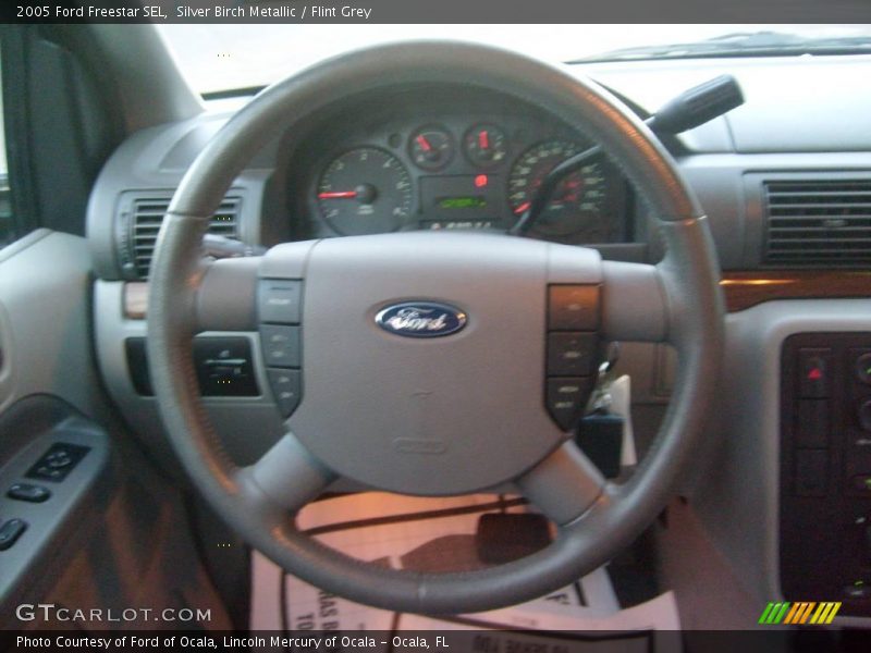 Silver Birch Metallic / Flint Grey 2005 Ford Freestar SEL