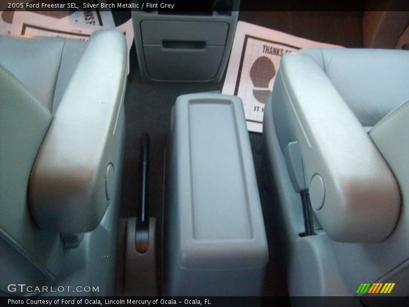 Silver Birch Metallic / Flint Grey 2005 Ford Freestar SEL