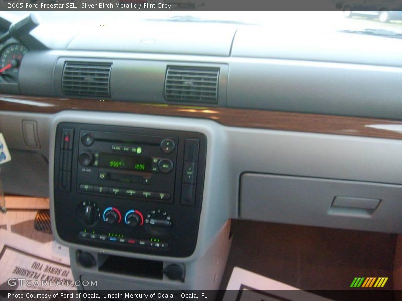 Silver Birch Metallic / Flint Grey 2005 Ford Freestar SEL