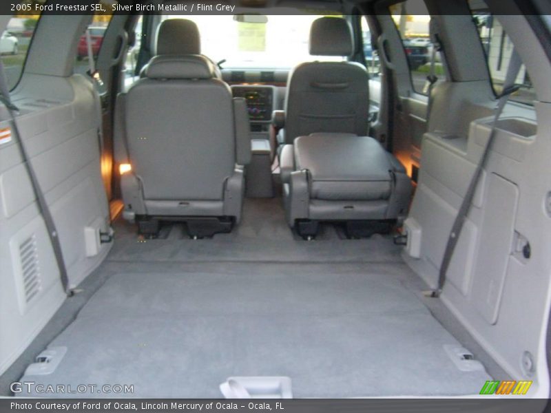 Silver Birch Metallic / Flint Grey 2005 Ford Freestar SEL