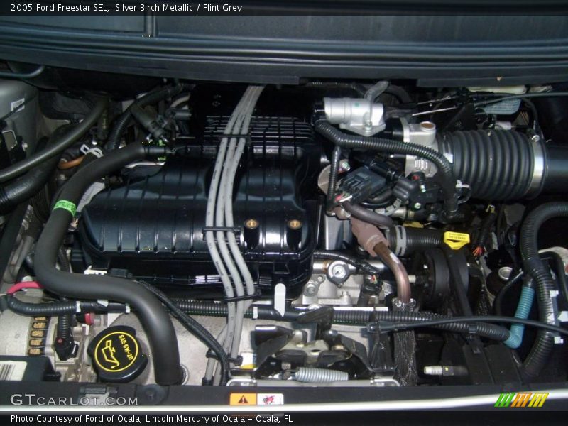 Silver Birch Metallic / Flint Grey 2005 Ford Freestar SEL