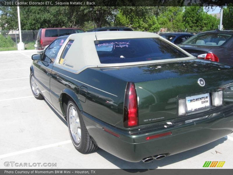 Sequoia Metallic / Black 2001 Cadillac Eldorado ETC