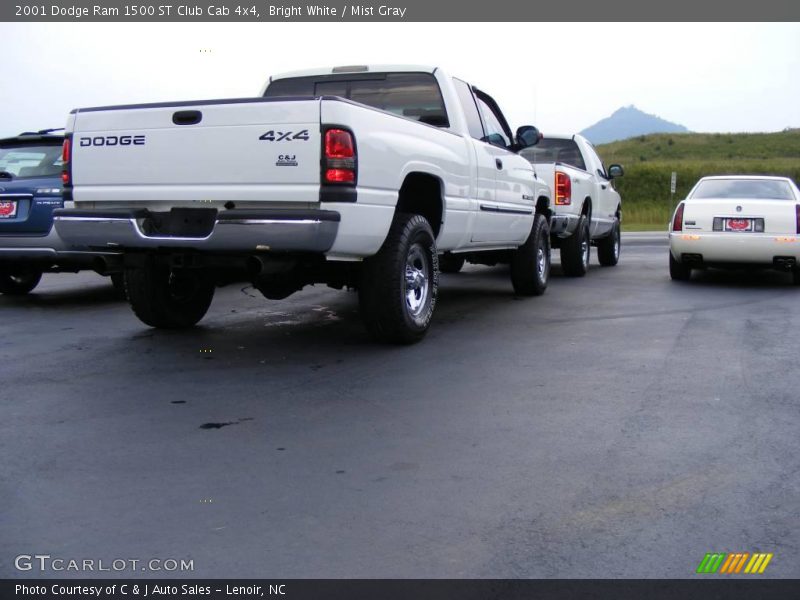 Bright White / Mist Gray 2001 Dodge Ram 1500 ST Club Cab 4x4