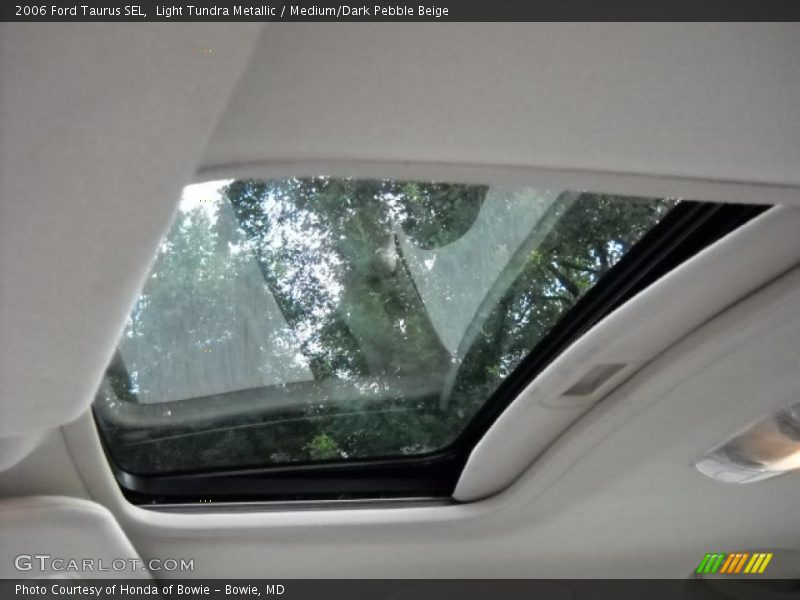 Light Tundra Metallic / Medium/Dark Pebble Beige 2006 Ford Taurus SEL