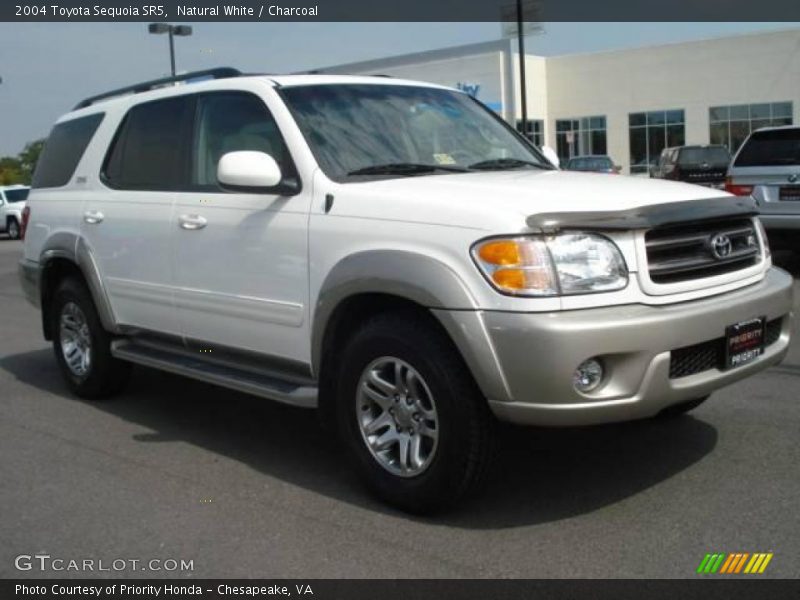 Natural White / Charcoal 2004 Toyota Sequoia SR5