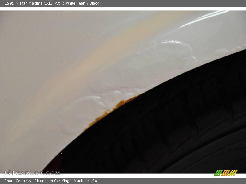 Arctic White Pearl / Black 1995 Nissan Maxima GXE