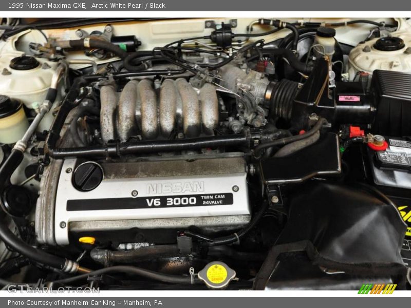 Arctic White Pearl / Black 1995 Nissan Maxima GXE
