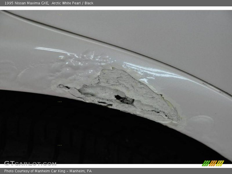 Arctic White Pearl / Black 1995 Nissan Maxima GXE