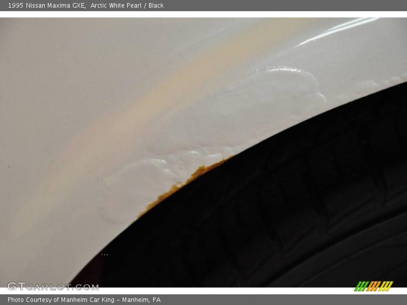 Arctic White Pearl / Black 1995 Nissan Maxima GXE