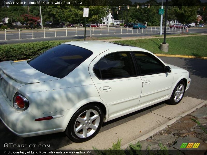 Glacier White Pearl / Frost 2003 Nissan Maxima SE