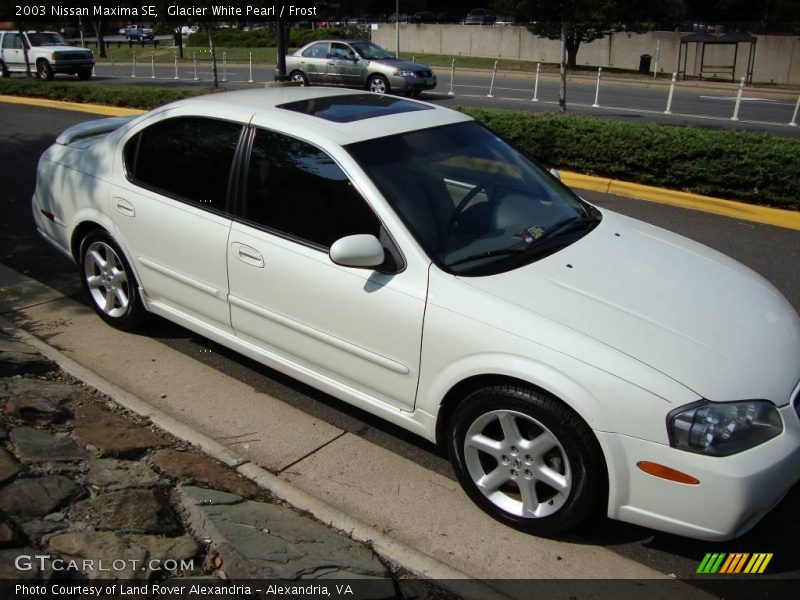 Glacier White Pearl / Frost 2003 Nissan Maxima SE