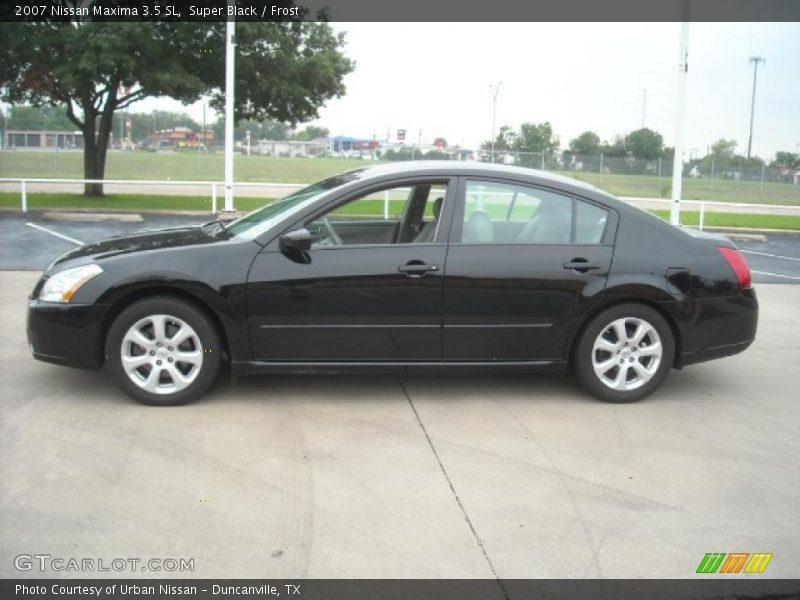 Super Black / Frost 2007 Nissan Maxima 3.5 SL